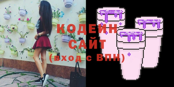соль ск Верхний Тагил