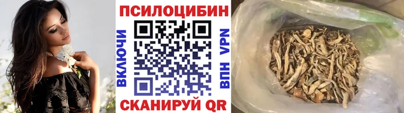 Псилоцибиновые грибы GOLDEN TEACHER  где продают наркотики  Салават 